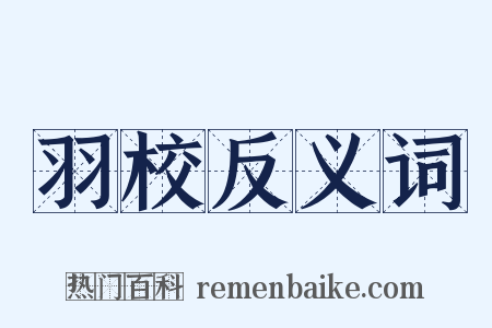 羽校反义词是什么意思的图片